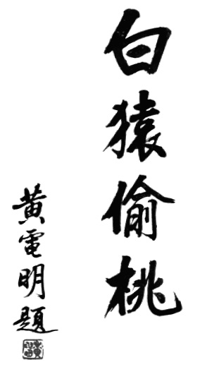 Calligraphie liminaire de Huang Dianming : le titre 白猿偷桃 (« Le Singe blanc vole la pêche »), planche de l’édition de 1958