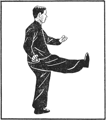 Posture 14 (planche 14) : les deux mains scellantes, l’une paume vers le bas, l’autre vers le haut, la jambe droite écrasant de côté