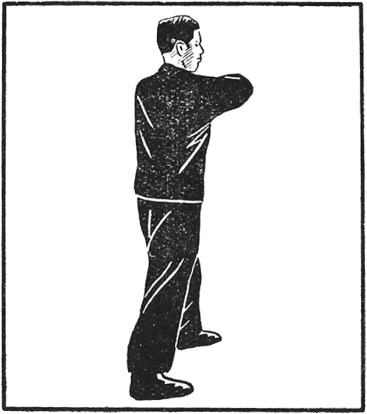 Posture 15 (planche 15) : la jambe droite qui dame en biais, le coude droit empilé