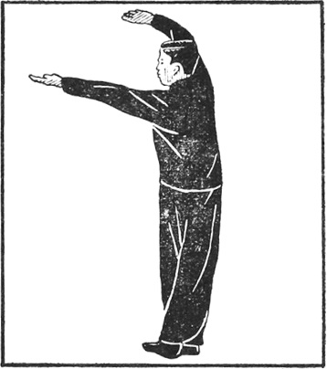 Posture 40 (planche 40) : le pas furtif, les deux paumes s’insinuant vers l’arrière, l’une haute, l’autre à l’horizontale
