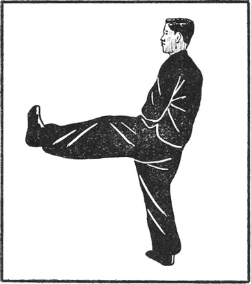 Posture 41 (planche 41) : le poing droit frappant sur la paume gauche, le pied gauche étayant à l’horizontale