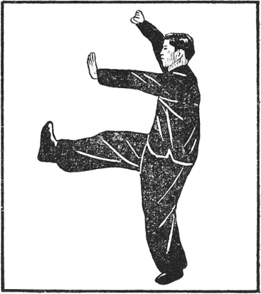 Posture 45 (planche 45) : le bond en avant, le poing droit barrant au-dessus de la tête, la paume gauche et la jambe droite en ligne