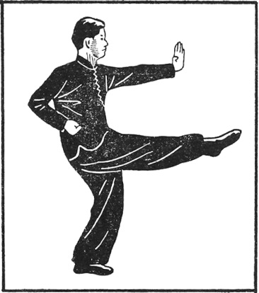 Posture 5 (planche 5) : la paume gauche sortie à l’horizontale, la jambe droite en croix sur la même ligne