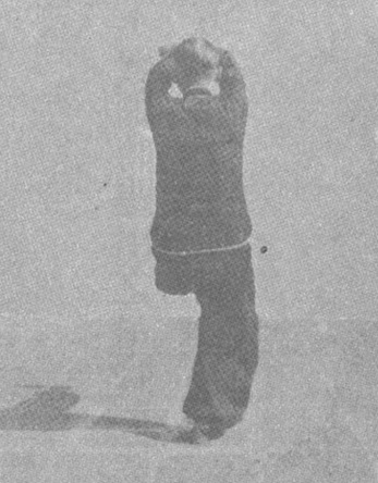 Posture 23a : le balayage bas de la jambe gauche, les poings croisés au-dessus de la tête (vue de face)