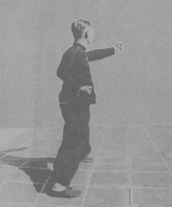 Posture 37 : le poing gauche fend en diagonale de haut en avant