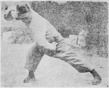 Figure 11 du manuel original de 1932 — Le poing drapé sur le corps (披身捶)