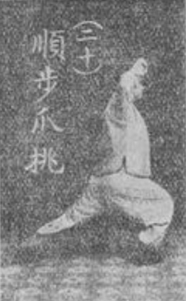 Figure 20 de l&rsquo;édition originale : reprise du côté droit, griffe relevée