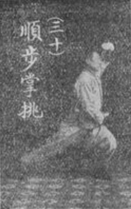 Figure 30 de l&rsquo;édition originale : pas accordé, paume relevée