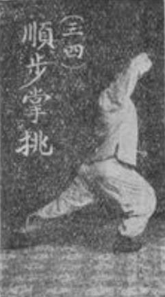 Figure 34 de l&rsquo;édition originale : reprise du côté droit, paume relevée