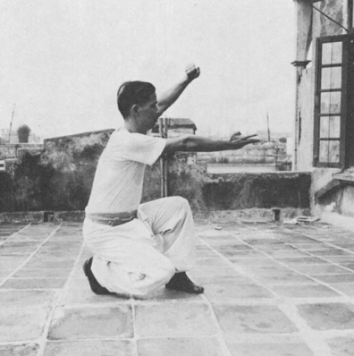Posture 13 : pas de l’anneau à gauche, la main gauche transperçant, la paume droite tranchant — photographie de l’édition de 1971