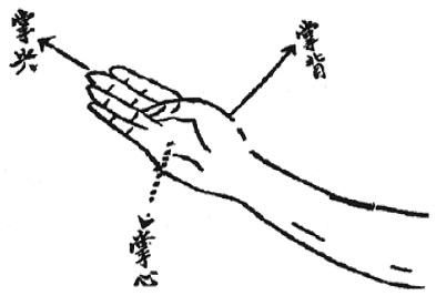 Figure de l&rsquo;édition de 1938 : la conformation de la paume, avec les légendes 掌尖, 掌背 et 掌心