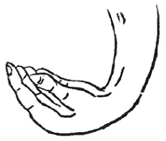 Figure de l&rsquo;édition de 1938 : la conformation de la main en crochet (鈎手)