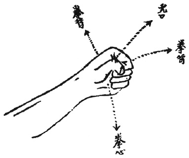 Figure de l&rsquo;édition de 1938 : la conformation du poing, avec les légendes 拳背, 虎口, 拳尖 et 拳心