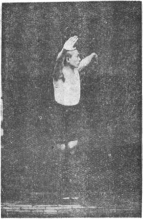 Posture 46, le saule qui se balance au gré du vent, planche de l&rsquo;édition de 1929