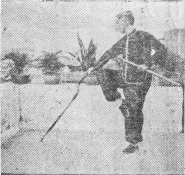 Posture 26, position de passage B (planche 26b) : le bâton fendant vers le nord derrière
