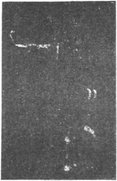 Figure 173 du manuel original de 1922 (教門彈腿圖說) — Dixième ligne : tailler les fleurs comme une flèche qui part (第十路\u3000裁花如箭彈)
