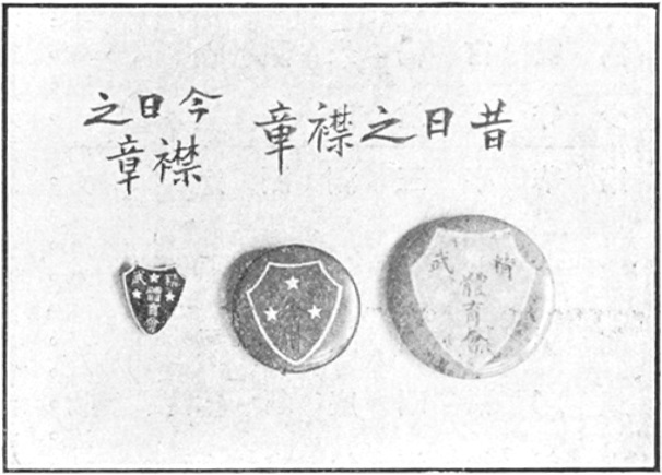 Insignes de revers : le nouveau (à gauche) et les anciens