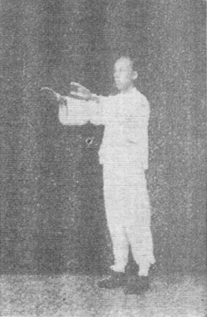 Treizième figure : les bras étendus à l’horizontale devant, à hauteur d’épaule, paumes vers le bas (édition de 1930)