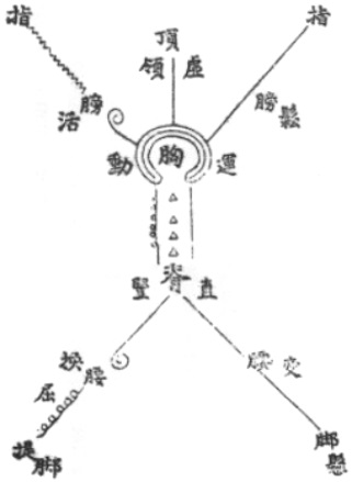 Figure du manuscrit : le côté gauche vide et le côté droit plein, avec les indications du sommet, des bras, de la poitrine, de l&rsquo;échine, de la taille, des jambes et des pieds