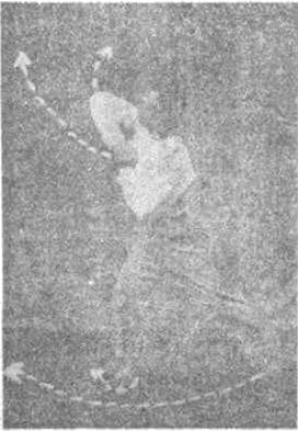 Posture 27