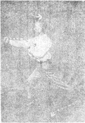Posture 5