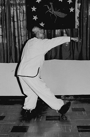 Forme 2 : pas des Sept Étoiles à droite, le poing droit lancé, la paume gauche venue à sa rencontre — photographie de l&rsquo;édition de 1972