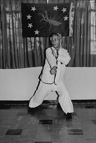 Forme 19b : le poing droit balayant vers le bas à gauche, le talon droit poussant vers l&rsquo;arrière — photographie de l&rsquo;édition de 1972