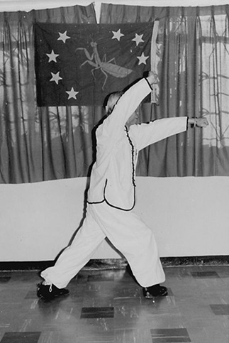 Forme 28 : pas de l&rsquo;ascension à droite, le poing droit barré au-dessus de la tête, le poing gauche perçant — photographie de l&rsquo;édition de 1972