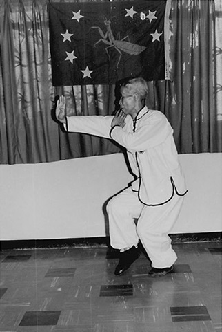 Forme 40 : pas du tigre enjambé à droite — photographie de l&rsquo;édition de 1972