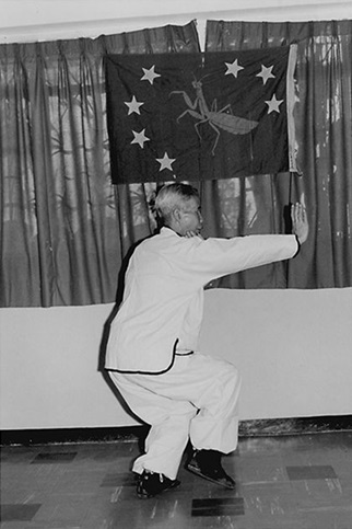 Forme 55 : pas du tigre enjambé à droite, clôture de l&rsquo;ensemble — photographie de l&rsquo;édition de 1972