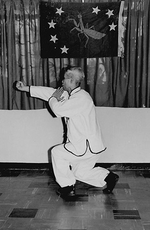 Forme 7 : pas d&rsquo;entrée dans l&rsquo;anneau à gauche, le poing gauche barrant au-dessus de la tête, le poing droit au ventre — photographie de l&rsquo;édition de 1972