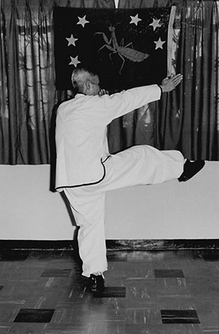Forme 8 : les deux paumes déployées vers l&rsquo;avant-droit, le pied droit lancé — photographie de l&rsquo;édition de 1972