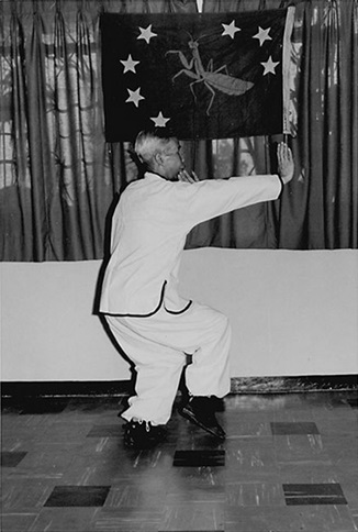 Forme 9 : pas du tigre enjambé à droite, la troisième relève de la paume — photographie de l&rsquo;édition de 1972
