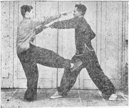 Posture 29b : A scelle et, d&rsquo;un bond, attaque l&rsquo;œil et le bas-ventre