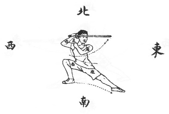Mouvement 3 : le lion regarde la boule