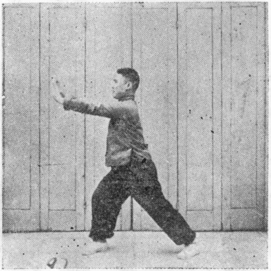 Figure 97 : les deux paumes poussant de front