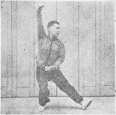 Figure 19a : la même descente, côté gauche