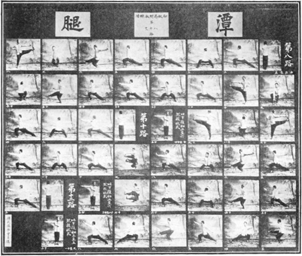Le tantui présenté en une suite concise de photographies