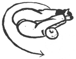 La lanterne qui roule, première figure