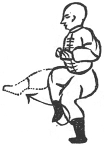 Coup de pied de la soie torsadée