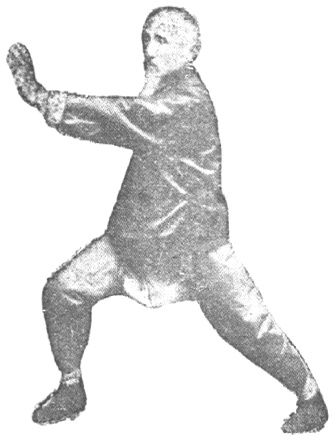 Posture 3, main droite qui traverse les fleurs