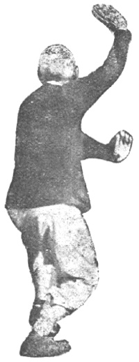 Posture 16, le phénix solitaire face au soleil