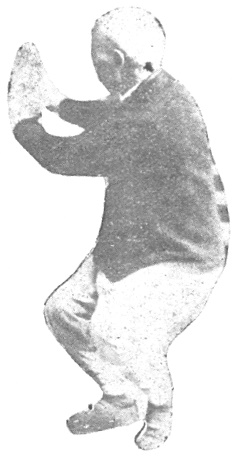 Posture 30, fleur de côté, position des sept étoiles