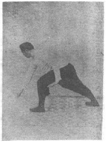 Figure 30