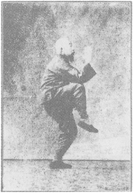 Planche de l&rsquo;édition de 1933 : Chen Weiming, figure 185 — « le coq d&rsquo;or se tient sur une patte » (jin ji duli)