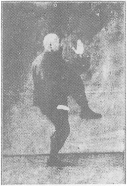 Planche de l&rsquo;édition de 1933 : Chen Weiming, figure 186 — « le coq d&rsquo;or se tient sur une patte » (jin ji duli)