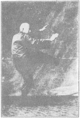 Planche de l&rsquo;édition de 1933 : Chen Weiming, figure 248 — « pivoter sur le pied et balayer du lotus » (bai lian)