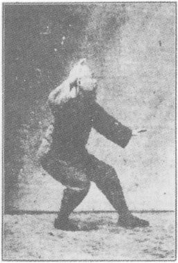 Planche de l&rsquo;édition de 1933 : Chen Weiming, figure 16 — « la grue blanche déploie ses ailes » (baihe liangchi)