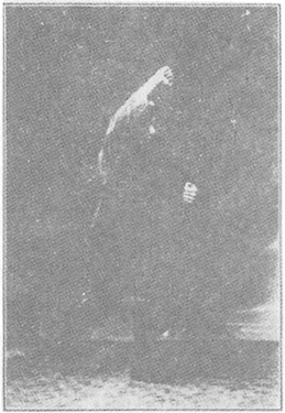 Planche de l&rsquo;édition de 1933 : Chen Weiming, figure 109 — « se couvrir le corps et dompter le tigre », à gauche
