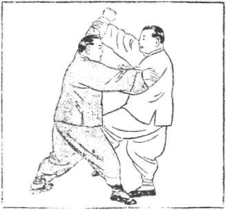 Figure 50